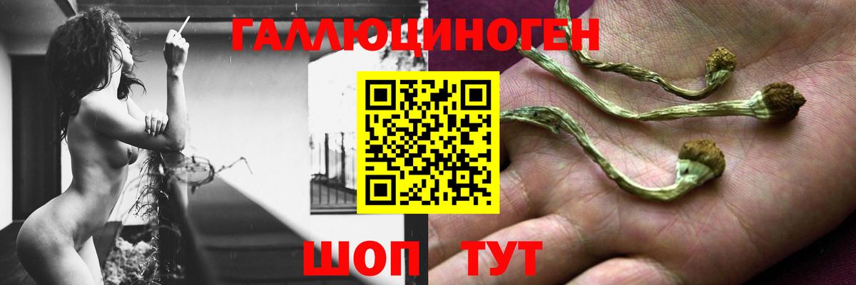 Трёхгорный  Псилоцибиновые грибы Psilocybine cubensis  Вход с VPN  Псилоцибиновые грибы прущие грибы 